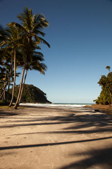 Imagem ilustrativa de Itacaré - BA