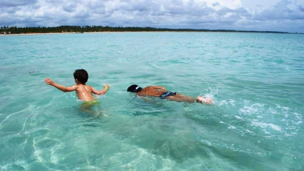 Imagem ilustrativa de Maragogi  Al