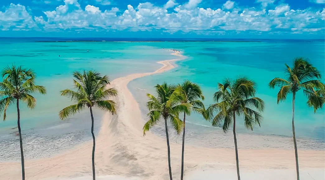 Imagem #4 do Pacote Maragogi  Al